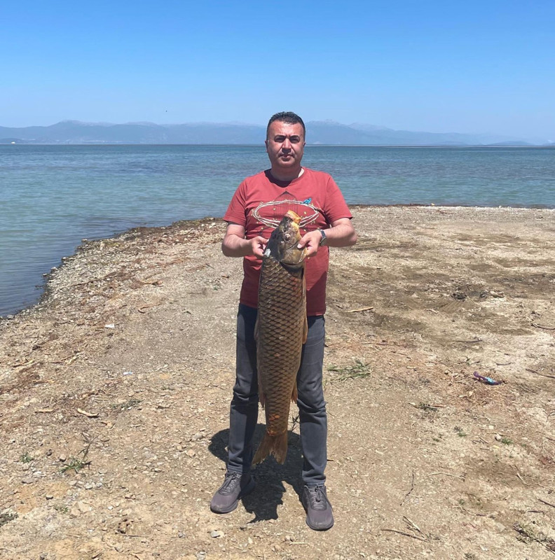 Konya'da amatör balıkçıların ağına takıldı. En son 11 yıl önce çıkmıştı balıkçılar görünce kaçmasın diye hemen su ile bağlantısını kesti - Resim: 1