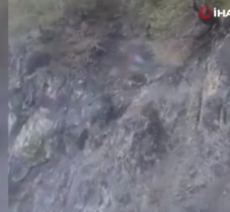 Aracı görünce paniklediler. 2'si birlikte korkuyla dağa tırmandılar - Resim: 3