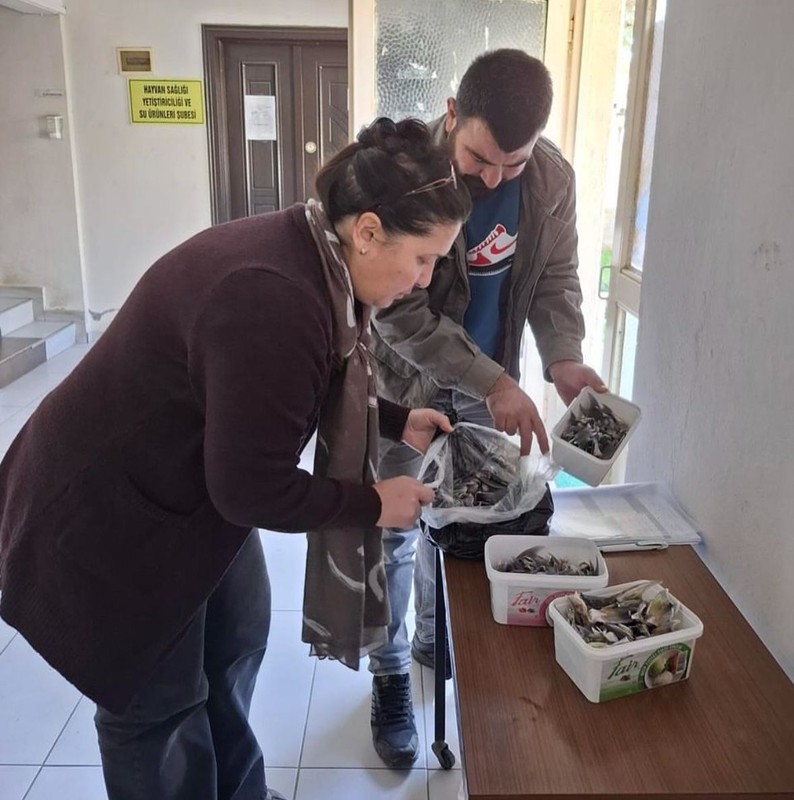 Marmara bölgesine doğru her an 120 hızla basıp istilaya gelebilir. Resmi Gazete'de de yayımlandı. Onu gören herkes hayvanı yok etmeli - Resim: 1