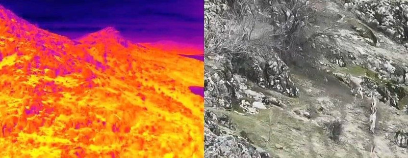 Termal dron ile görüntülendiler! Onların ayak bastığı yere gidebilen insan yok - Resim: 4