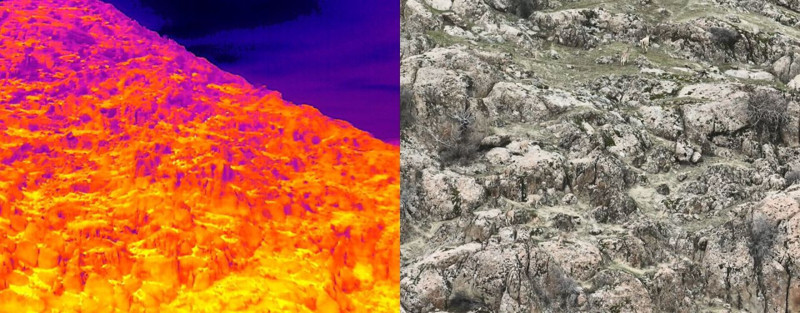 Termal dron ile görüntülendiler! Onların ayak bastığı yere gidebilen insan yok - Resim: 2