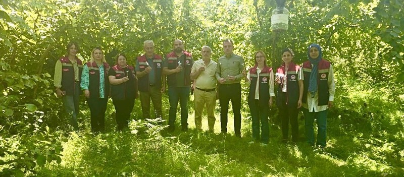Rize'de 50.000 tanesi yetkililer tarafından doğaya salındı. Resmi olarak yapacakları tek 1 görev var - Resim: 1