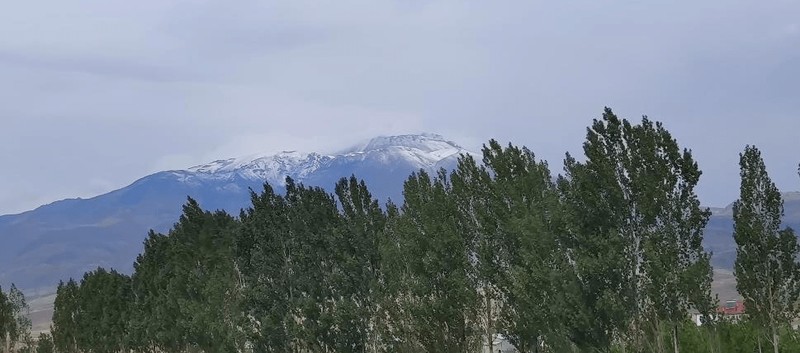 Türkiye'de akılları yerinden oynatan manzara... Görenler önce şaşırdı ancak sonra büyük bir panik yaşadı... Felaketin ayak sesi resmen - Resim: 3