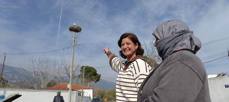 Aydın'dan Türkiye için ürküten haber. Sadece 1 tanesi geldi. O hayvan Türkiye'ye resmen giriş yaptı - Resim: 2