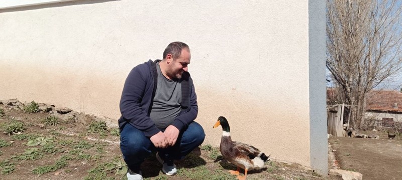Yozgat'ta 11 tane hayvan almıştı! 10 tanesi teker teker telef oldu, geriye kalan 1 tanesi hakkındaki detay duyanları şaşkına çevirdi - Resim: 3