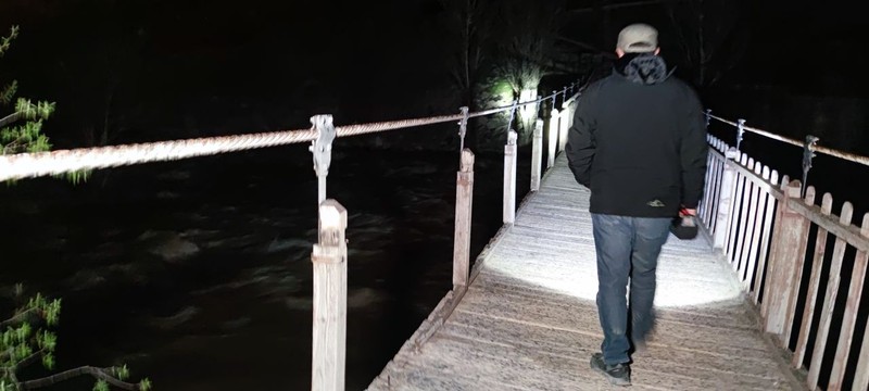 Van'dan başka yerde yaşamayan 1000'lerce hayvan gece büyük bir harekete başladı... 1000'lercesinin akını için resmi ekipler korumaya gitti - Resim: 4