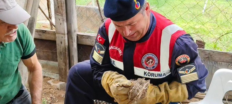 Yozgat'ta jandarma ekipleri doğada 1 adım bile atamayacak bir halde buldu! Hareketleri yürek ısıttı - Resim: 2