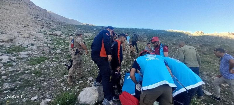 Tunceli'de 200'den fazla koyununu otlatan çobanın karşısına doğada bir anda çıktılar. Çoban tam 1 adım attıktan sonra resmen korkunç olay oldu - Resim: 2