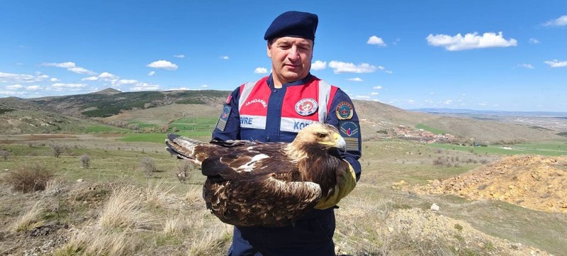 Yozgat’ta jandarma ekipleri devriye gezdiği sırada buldu. Yanına yaklaşınca ne olduğunu anladılar - Resim: 3