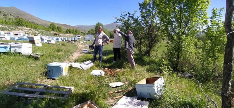 Van'da 2. kez çıkıp ormanın içerisinden geldi, 150.000'i yok edip kendisi de yoklara karıştı - Resim: 3