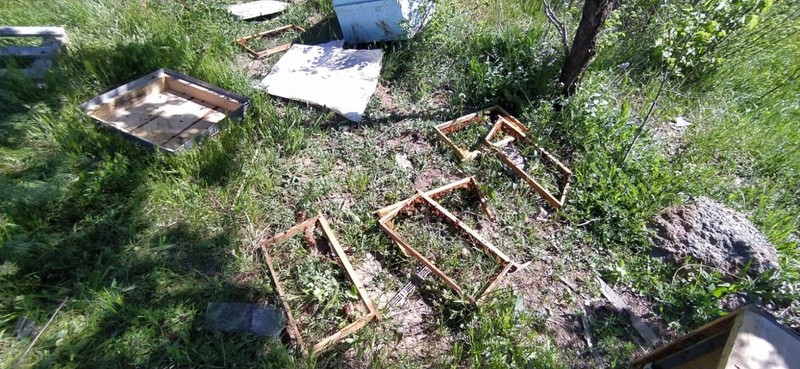Van'da 2. kez çıkıp ormanın içerisinden geldi, 150.000'i yok edip kendisi de yoklara karıştı - Resim: 4