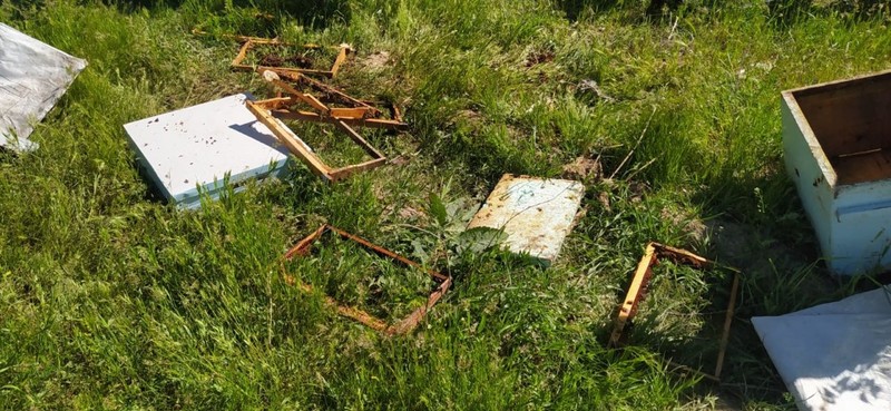 Van'da 2. kez çıkıp ormanın içerisinden geldi, 150.000'i yok edip kendisi de yoklara karıştı - Resim: 2