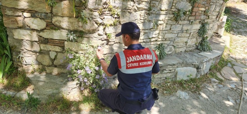 Türkiye'den Aydın'da  Söke ve Kuşadası'na gidecekler dikkat! Doğada jandarma özel olarak koruyor dokunan 557 bin 212'yi hazırlasın - Resim: 1