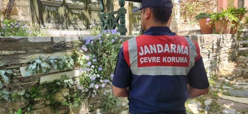Türkiye'den Aydın'da  Söke ve Kuşadası'na gidecekler dikkat! Doğada jandarma özel olarak koruyor dokunan 557 bin 212'yi hazırlasın - Resim: 2