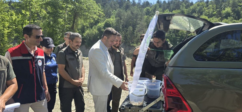 Sinop Ayancık’ta çaylara kırmızı benekli alabalık salındı. Ekosistem için destek adımı atıldı - Resim: 2