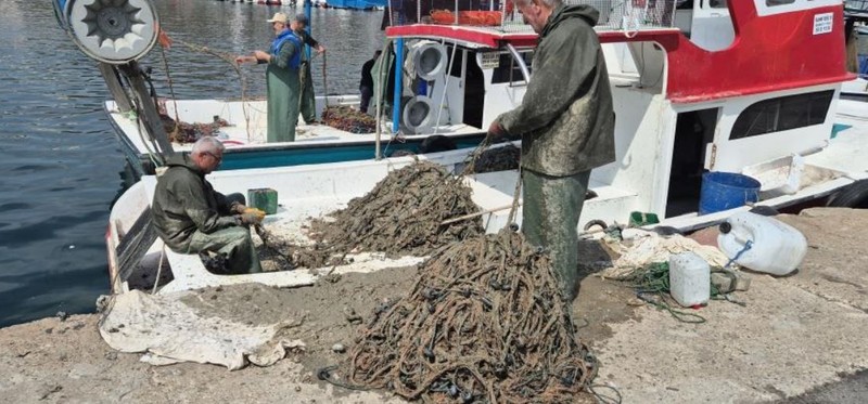 Marmara'da büyük kabus! Balıkçılar ağ attı 1 dakika içinden oltadan Türkiye için korkunç gerçek çıktı - Resim: 3