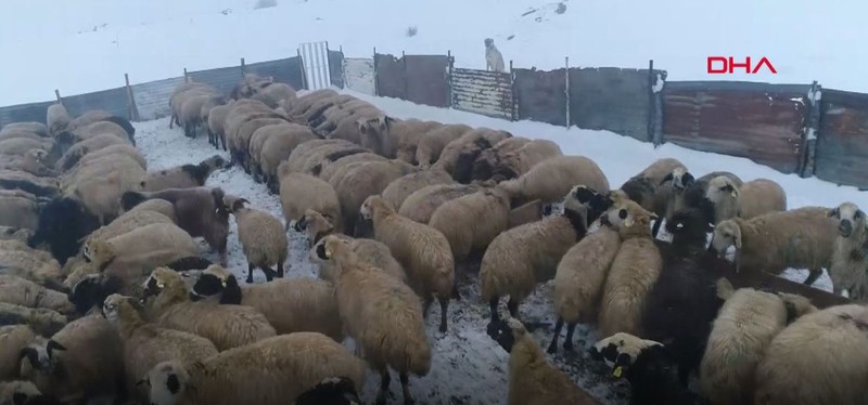 Elazığ'da günün ilk ışıklarıyla dondurucu soğukta mesaiye başlayan göçerler açıkladı. "100 TL versek de gelmiyorlar" - Resim: 4