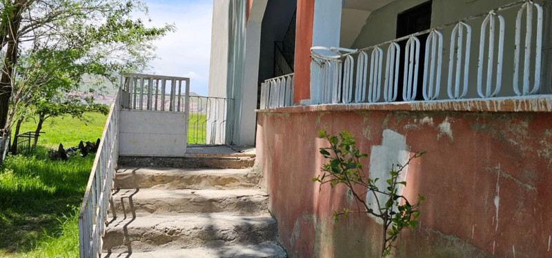 Evde değil yılan yuvasında yaşıyorlar! Boyları tam 3 metre! Aile çaresiz: Geceleri uyuyamıyoruz - Resim: 3
