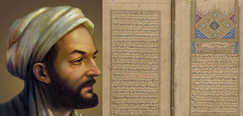 Ölümden başka her derde deva! İltihabı söküp atıyor, hücreleri yeniliyor! İşte İbn-i Sina'nın önerdiği mucize tohum - Resim: 2