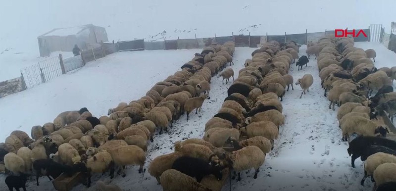 Elazığ'da günün ilk ışıklarıyla dondurucu soğukta mesaiye başlayan göçerler açıkladı. "100 TL versek de gelmiyorlar" - Resim: 2