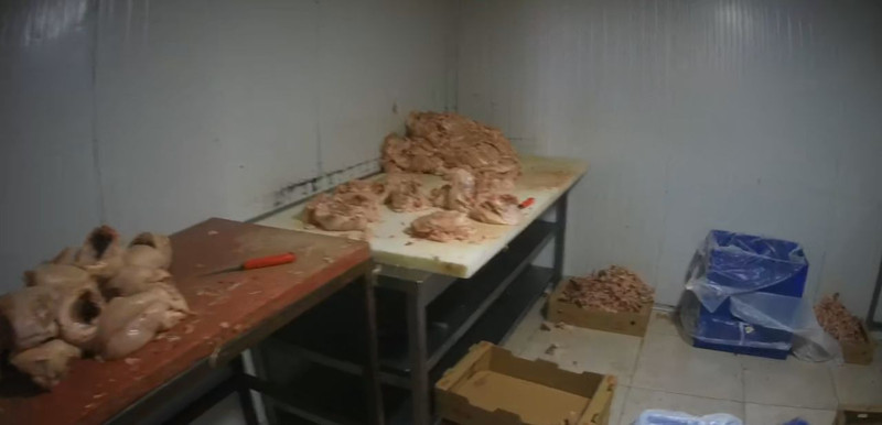 Denetimde mide bulandıran manzara! Tarihi geçmiş tavukları insanlara yedireceklerdi... İşletme mühürlendi - Resim: 3