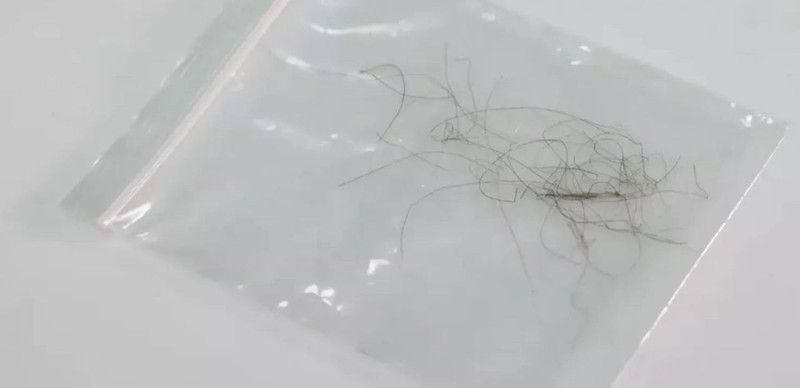 Kral Charles'ın saçı satışa çıktı! Fiyatı duyanları şoke etti - Resim: 2