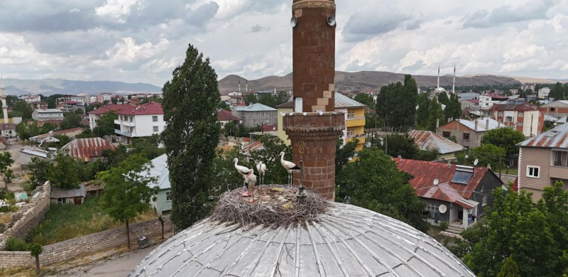 Bu sefer geç kaldılar! Mahalleli umudunu kesmişti! - Resim: 2