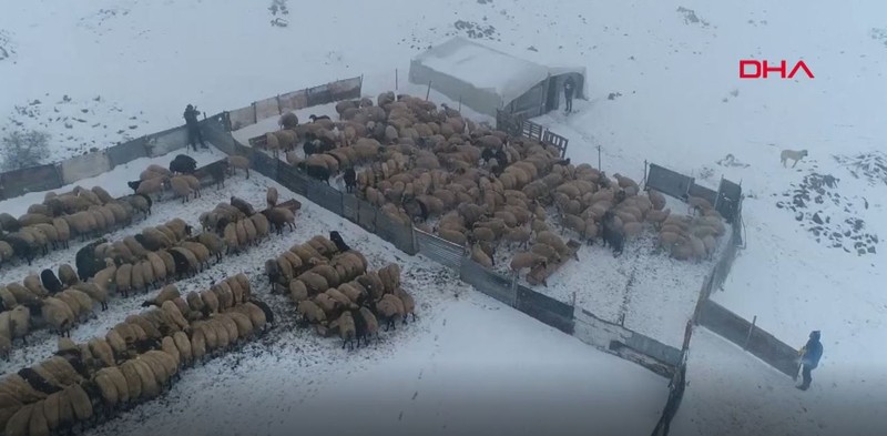 Elazığ'da günün ilk ışıklarıyla dondurucu soğukta mesaiye başlayan göçerler açıkladı. "100 TL versek de gelmiyorlar" - Resim: 3