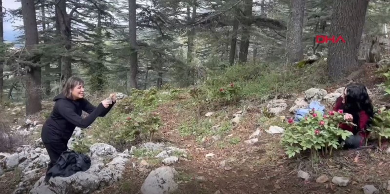 Antalya'da 1000'lercesi teker teker toprak üzerinde görünmeye başladı. Dokunmak isteyen 557 bin 212'i hazırlasın - Resim: 5