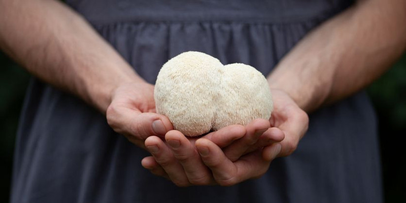 Doğada nadiren görülüyordu! Ormanda buldu, evin balkonunda yapıp 3 bin TL'den satıyor - Resim: 5