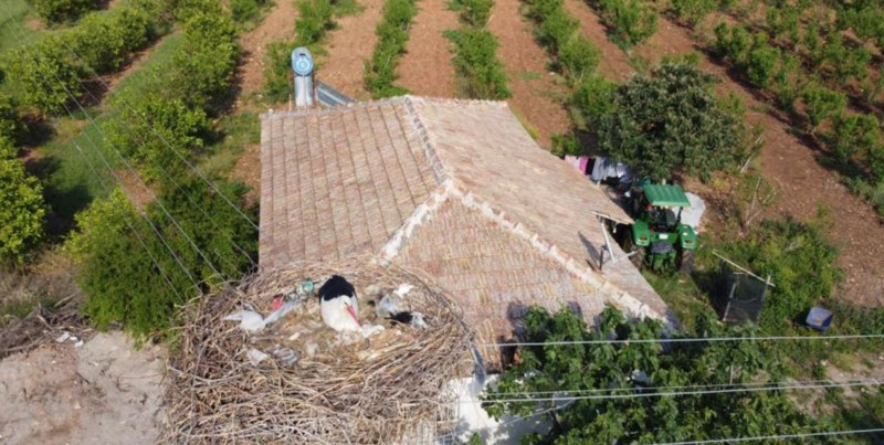 Adana'da 5 yıldan bu yana bölgeye gelen hayvanın yuvasına 5 yıl sonra bakan vatandaşlar, Türkiye için adeta korkunç manzarayı gördü - Resim: 1