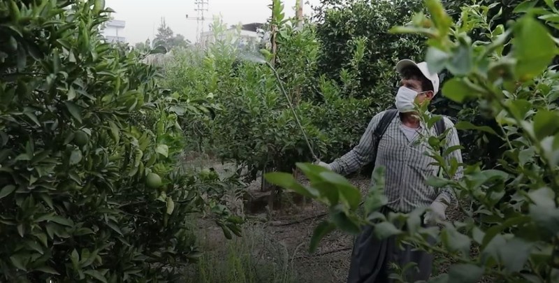 Mersin'de de halka çağrı yapıldı... 1000'lercesini siyah poşetlere koyup çöplere atın. Hayvanları azdırıyor - Resim: 2