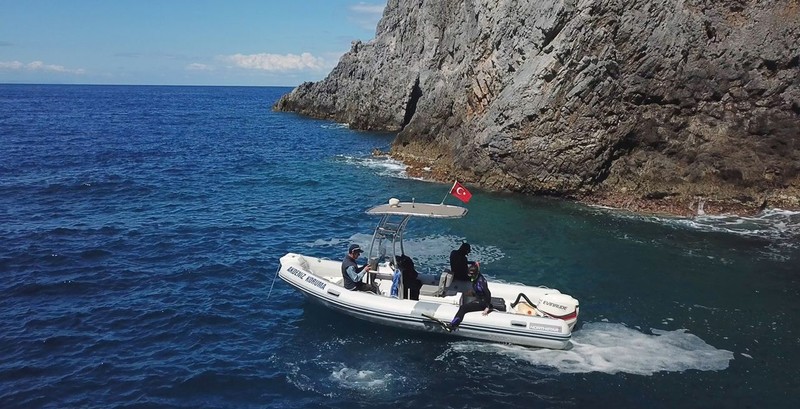 Hatay, Adana, Mersin, Antalya ve Muğla'da yaşadığı bilinen ancak hiç görülmeyen hayvan mağaranın kayalıklarında bir anda ortaya çıktı. 1 tane vardı sadece - Resim: 1