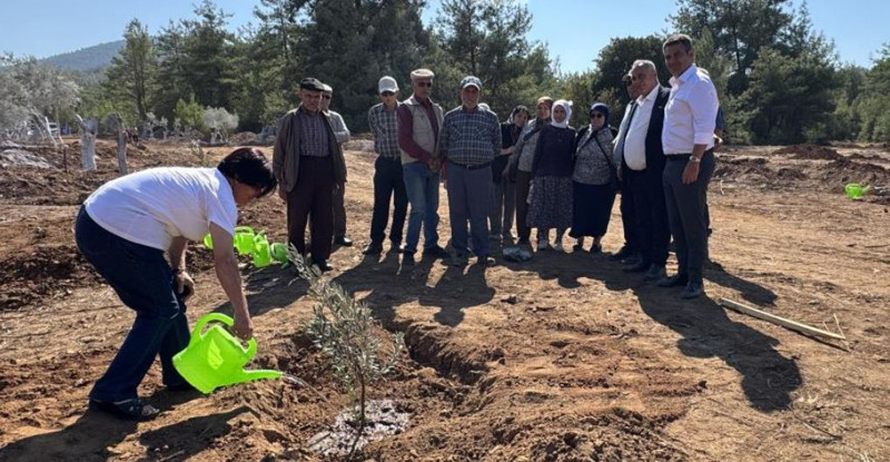 Muğla’da tam 300 tanesi birden toprakla buluşturuldu. Hepsi boy boy yükselecek - Resim: 4