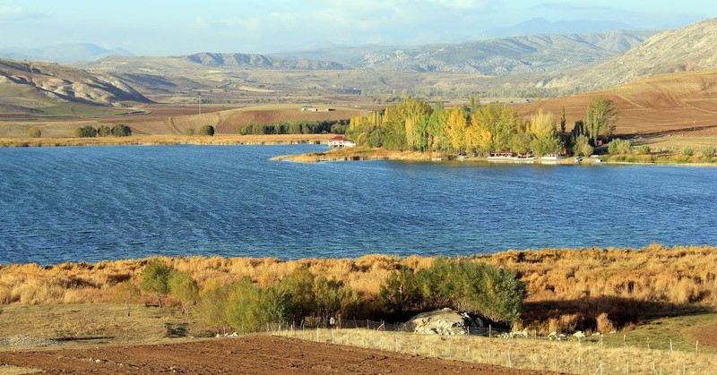 Sivas'ta 1 milyon tanesi saniyeler içerisinde Sivas'a bırakıldı... Saniyeler içinde tüm Sivas'ı kapladılar... Hepsi aynı anda hücum etti - Resim: 1