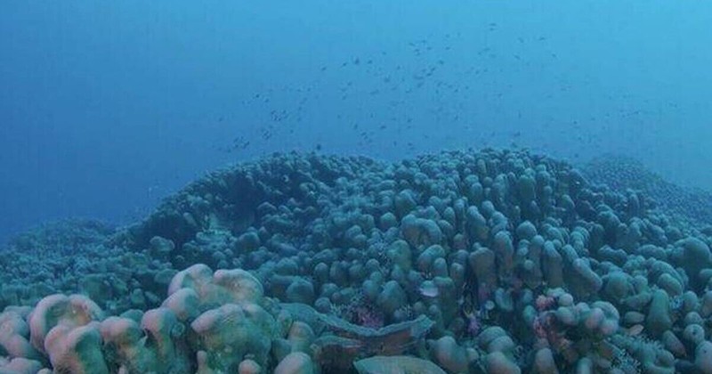 300 yıldan bu yana doğada aynı yerde duruyor... 34 metre genişliğindeki dev yaratık, dünya dışından bile görülebiliyor - Resim: 4