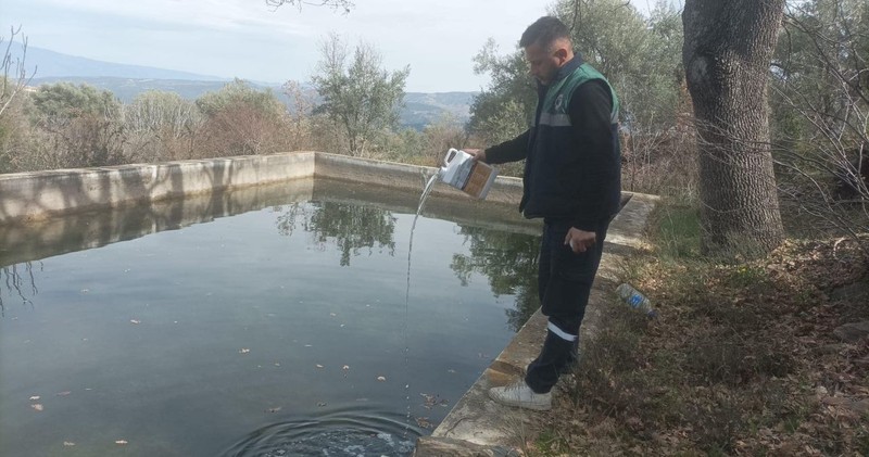 Hava sıcaklıklarının yükselmeye başladığı Aydın'da ekiplerin de mesaisi başladı. Dere yataklarını ve su birikintilerini tek tek ilaçladılar - Resim: 3