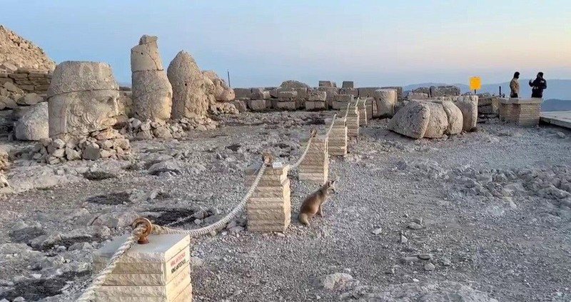 Adıyaman'da koruma altındaki Nemrut Dağı'nda tarihi heykellerin arasında  1 tanesi turistlerin önüne çıktı. Hepsi fotoğrafını çekmek için sıraya girdi - Resim: 3