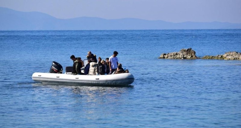 Aydın'da 500'lercesi teker teker toplandıktan sonra kara poşetlere yerleştirilip ağızları sıkıca bağlandı. 500'lerce siyah poşettekilerin hepsi yok edilecek - Resim: 5