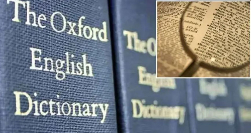 Oxford Sözlüğü 2025 yılının kelimesini seçti: İşte 2025'in en popüler kelimesi - Resim: 8