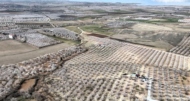 Malatya 22 derecelik havada beyaz gelinliğini giydi... Her taraf bembeyazla kaplandı. Ortaya müthiş bir manzara çıktı - Resim: 4