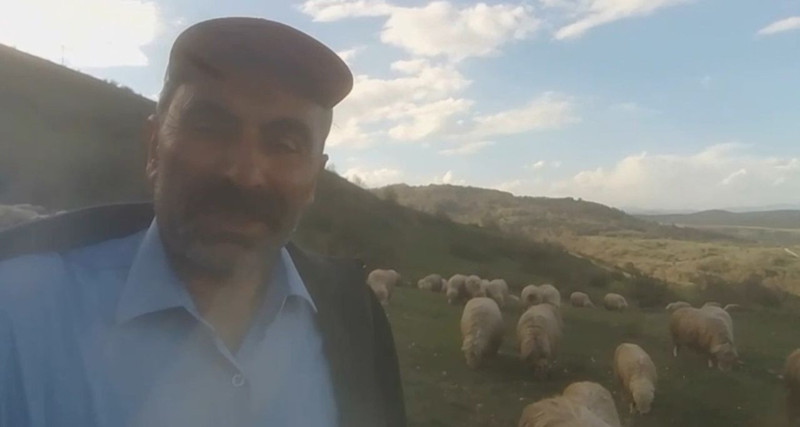 Tokat'ta 100'lerce koyununu otlatan çoban, doğada ormanın içerisine girince ağacın üzerindeki manzarayı görmesiyle resmen olduğu yerde kalakaldı - Resim: 1