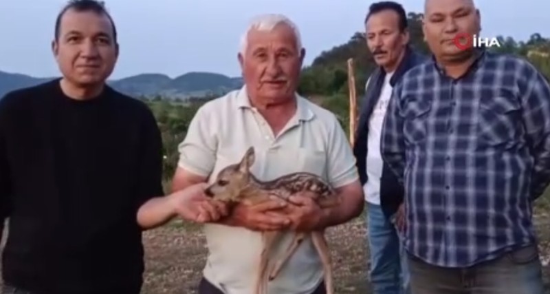Sinop’ta 150’den fazla keçisini otlatmak için yaylaya giden çoban bir anda karşısında onu gördü. Yanlarına getirdiğinde 150 keçi bile ona merhametle baktı - Resim: 6