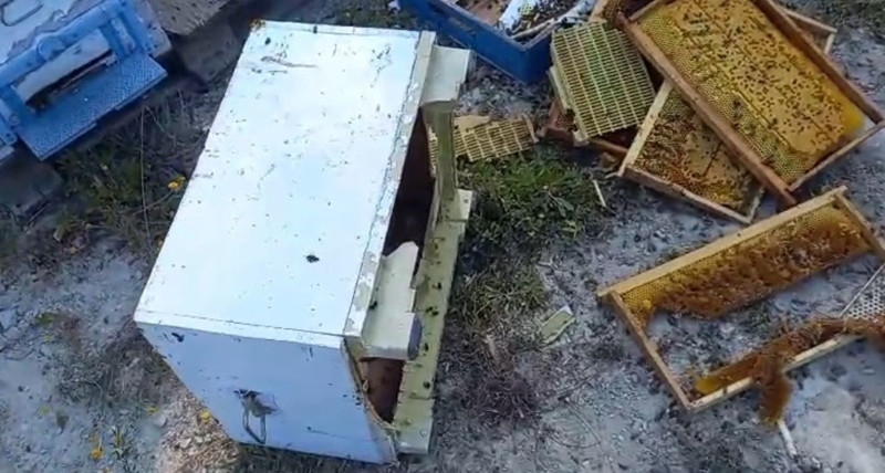 Bolu’da gece geldi, önüne ne bulduysa yok etti geçti. Üretici ancak sabah saatlerinde bölgeye geldiğide fark etti - Resim: 4