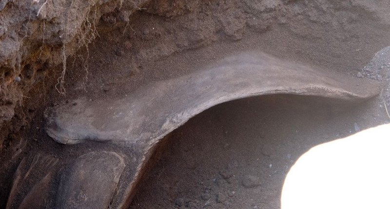 Mersin'de büyük kazı çalışması başladı! 4 yıldır toprak altındaydı, tam 16 metre uzunluğunda hepsi çıkarılacak - Resim: 6