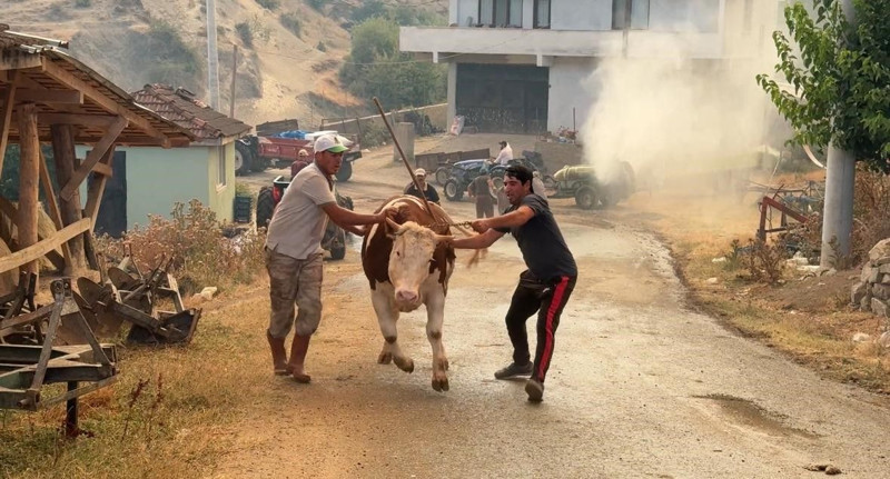 Sakarya'da yangın büyüdü! 2 mahalle tahliye edildi: Evler alev topuna döndü - Resim: 6