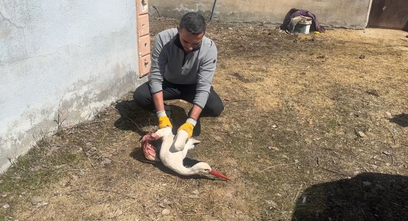 Hakkari'den 5000'lercesi Türkiye'ye akın akın giriş yapmışlardı! Köyde vatandaş 50000 tanesinden 1'nde bir farklılık fark etti! Hemen resmi ekipleri aradı - Resim: 5