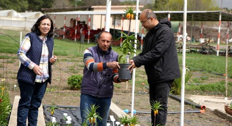 Erzincan'da topraktan 100'lercesi teker teker fırlamaya başladı. Tek 1 kez bile dokunan 577.000'i hazırlasın - Resim: 6