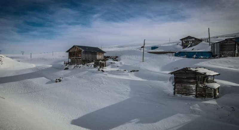 Artvin'de yüzde 57'si ormanla kaplı bölgeden gelen görüntü izleyen herkesi kendisine hayran bıraktı. 3 bin 251 hektarlık alana yayılıyor - Resim: 3