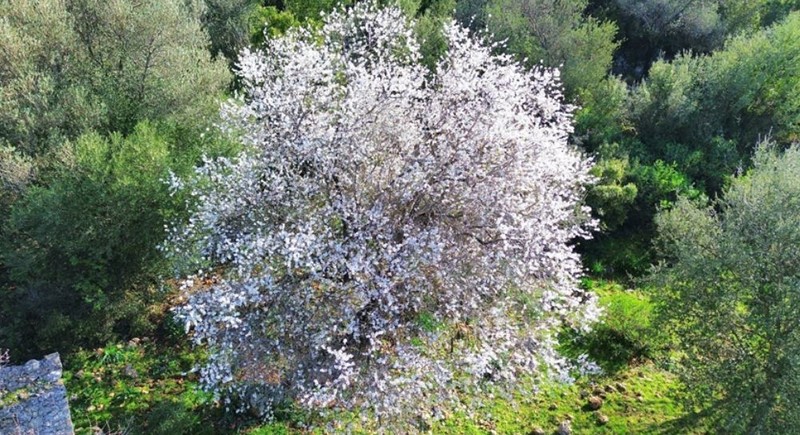 Antalya'da rengarenk bir manzaranın altında aslında Türkiye için kara korkunç bir haber var. Sadece 1 il değil 2, 3, 10 ilden aynı haber - Resim: 1